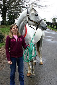 Grayboo is a gray Thoroughbred horse for sale who was sold to Amanda.