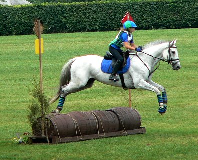 OTTB- Grayboo competes in combined training and cross-country.