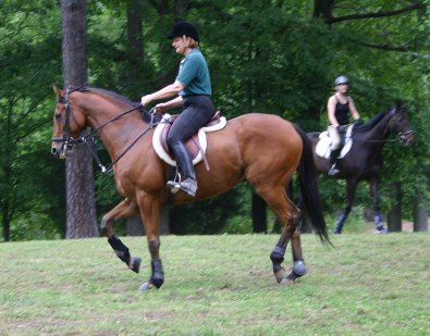 Bits & Bytes Farm offers eventing prospects for sale.