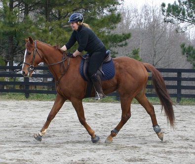 Former Bits & Bytes Farm horse for sale - Honor and Valor with Dana McLean - January 7, 2006 