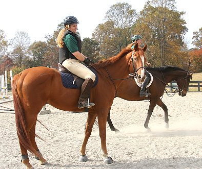 Honor and Valor worked on his flat work and jumped a few cross rails.