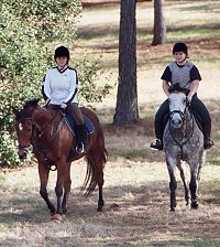 Ikon and Smokey enjoy trail riding.