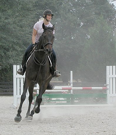 Irish at Bits & Bytes Farm
