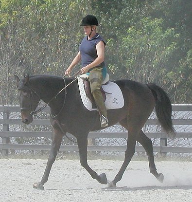 Irish at Bits & Bytes Farm