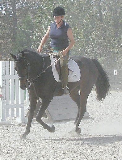 Irish at Bits & Bytes Farm