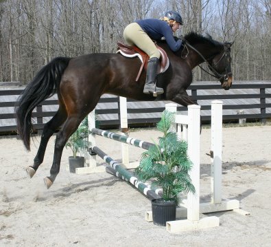 Irish and Paula's first ride.