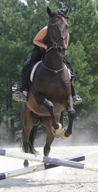 Irish Morning Mist - September 3, 2005