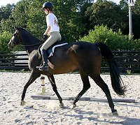 Irish Morning Mist - September 4, 2005 