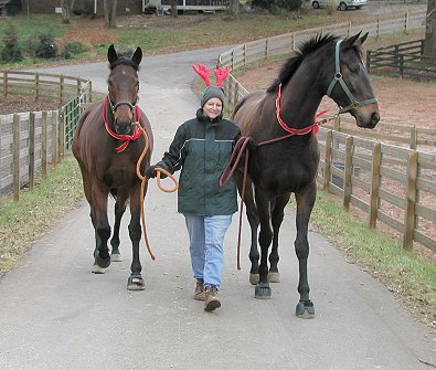 Irish & Lord Sexton are off to California.