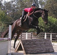 Irish Morning Mist - Sepetember 21, 2005