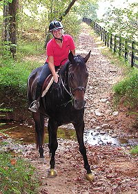 Irish Morning Mist - Sepetember 21, 2005