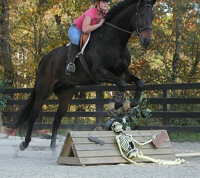 Irish Morning Mist - June 28, 2005