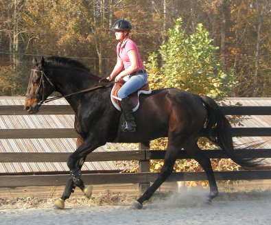 Irish Morning Mist - Sepetember 21, 2005