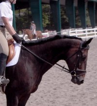 Irish Morning Mist - September 24, 2006