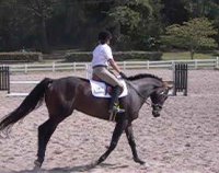 Irish Morning Mist - September 24, 2006