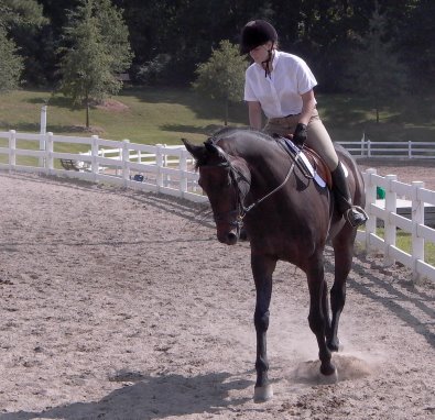 Irish Morning Mist - September 24, 2006