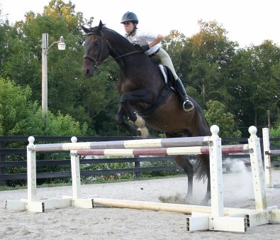 Irish Morning Mist and Marie van Roekel - September 4, 2005