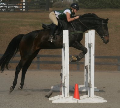 Irish Morning Mist and Megan Brown. November 6, 2005