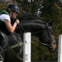 Irish and Megan. Irish is a Thoroughbred for sale at Bits & Bytes Farm.