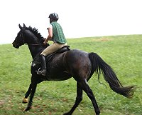 Irish and Megan. Irish is a Thoroughbred for sale at Bits & Bytes Farm.