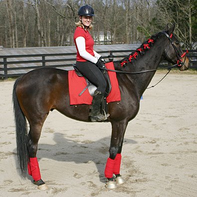 Joe Bear and Paula - January 1, 2005