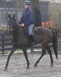 Joe Bear and Heather