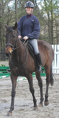 Joe Bear - horse for sale at Bits & Bytes Farm