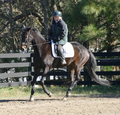 Joe Bear at Bits & Bytes Farm
