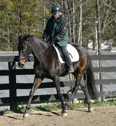 GA Wells and Joe Bear