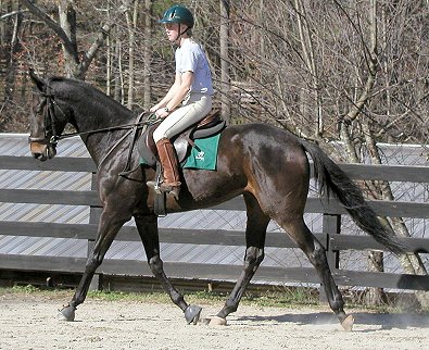 Joe Bear at Bits & Bytes Farm