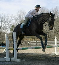 Joe Bear and Paula. What a team!