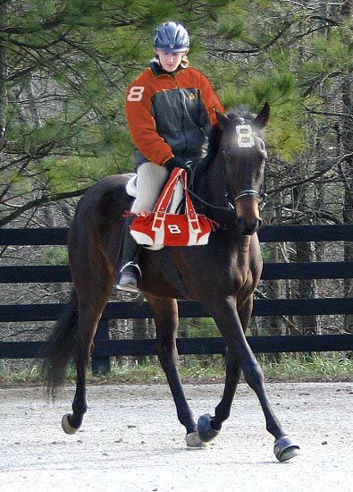 Joe Bear's secret passion.