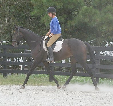 Joe Bear learns to jump