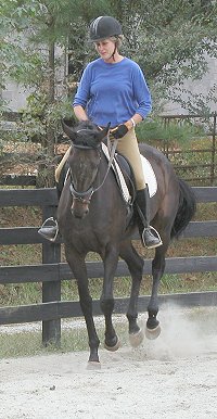 Joe Bear on October 5, 2003