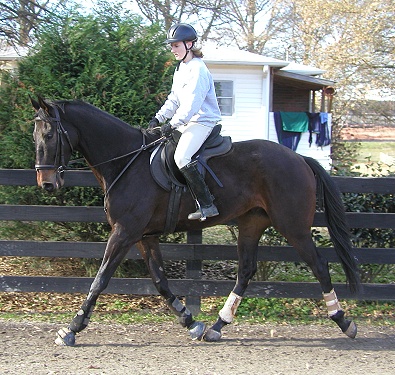 Joe Bear and Paula - December 28, 2003
