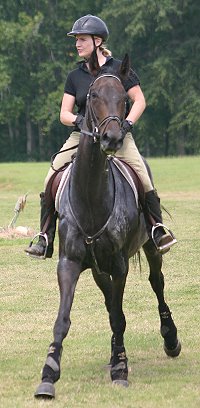 Joe Bear on October 5, 2003