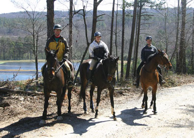 Joe Bear and friends. March 4, 2007