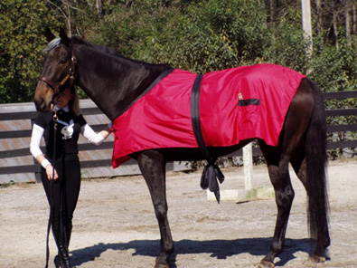 For Halloween Joe Bear was dressed as Huge Heffner and Paula was his bunny.