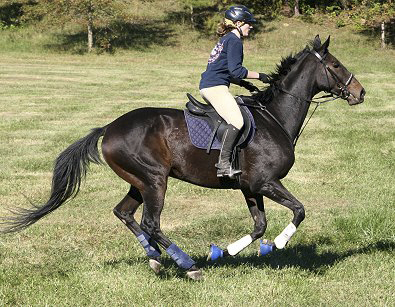 Joe Bear and Paula on a trail ride in January 2006 