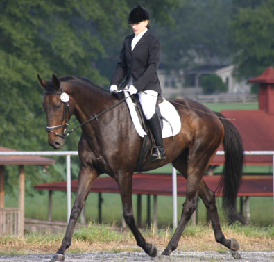 Thoroughbred - Joe Bear doing dressage at Big Bear in September 2007