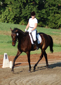 OTTB - Joe Bear doing dressage at Oxer Farm. July 12, 2008