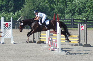 OTTB - Joe Bear jumping at Oxer Farm