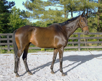 Joe Bear June 6, 2008