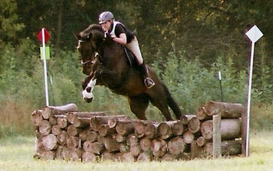 Joe Bear's debut into &ldquo;full scale&rdquo; 3-phase eventing was on August 18th 2007.