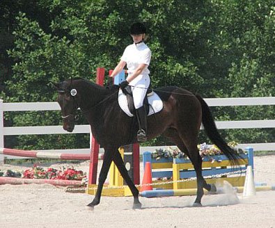 OTTB - Joe Bear and his mom Paula compete in dressage. 