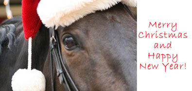 Merry Christmas and Happy New Year from Joe Bear and Paula. December 20, 2007