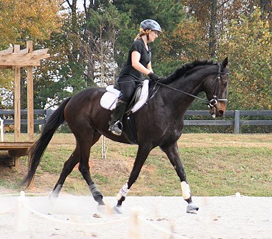 Joe Bear is so relaxed and flexable, we call him the "Rubber Band  Man".