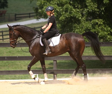 Joe Bear and Paula at the Imtiaz Anees clinic.