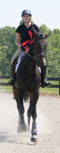 Joe Bear and Paula take two seconds at Oxer Farm