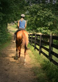 Light Artillery has gone to his new home. 